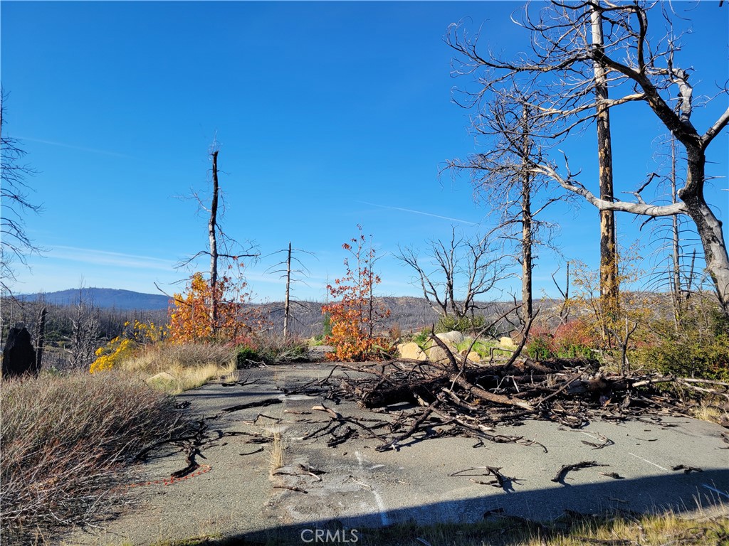 161 Shadow Creek Road Property Photo 11
