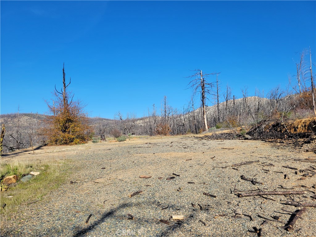 161 Shadow Creek Road Property Photo 12