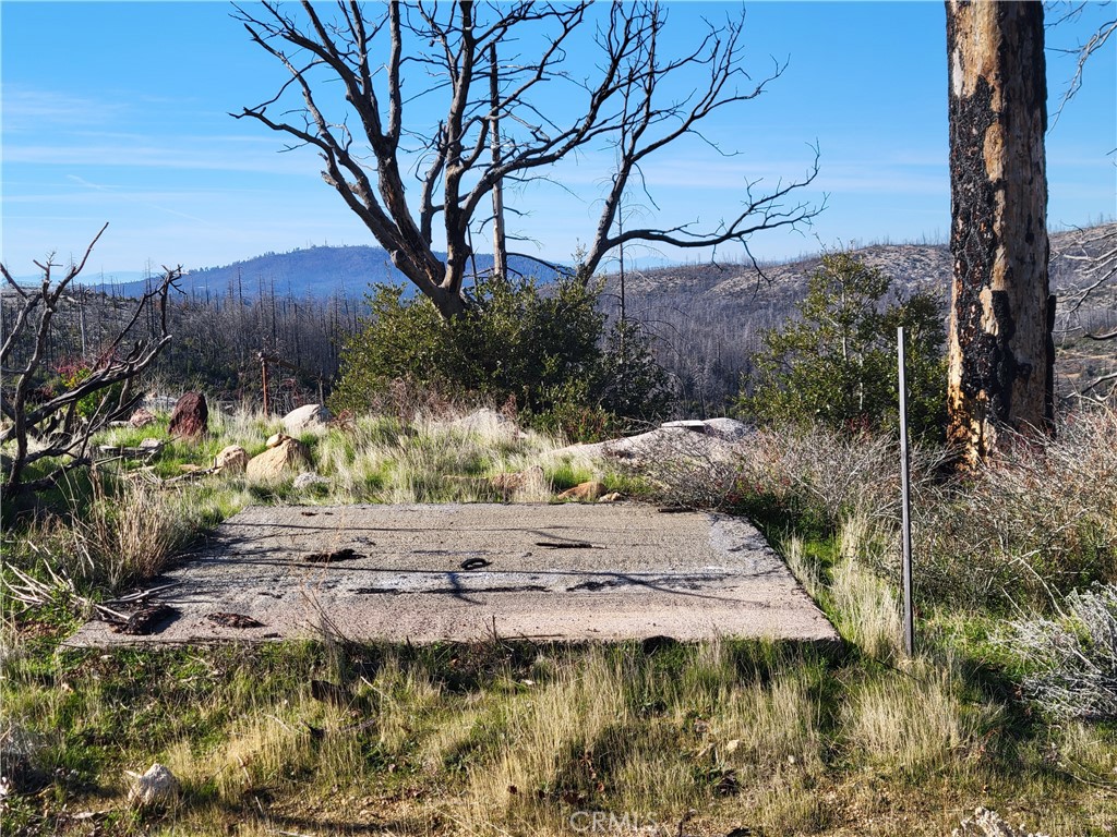 161 Shadow Creek Road Property Photo 14