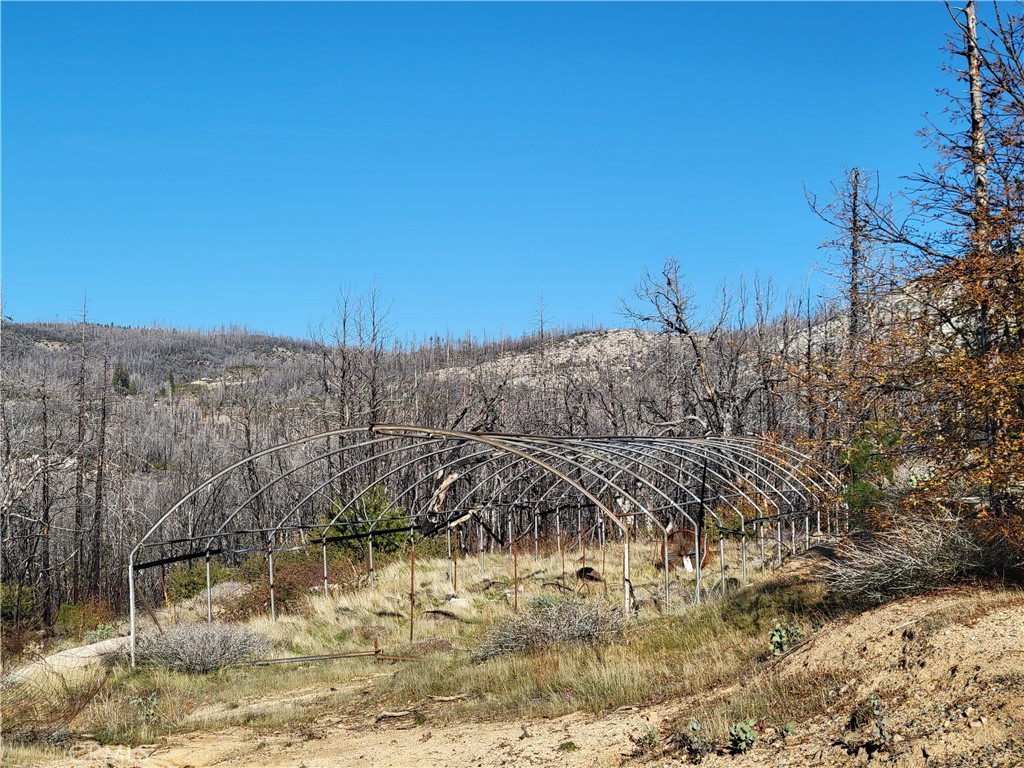 161 Shadow Creek Road Property Photo 15