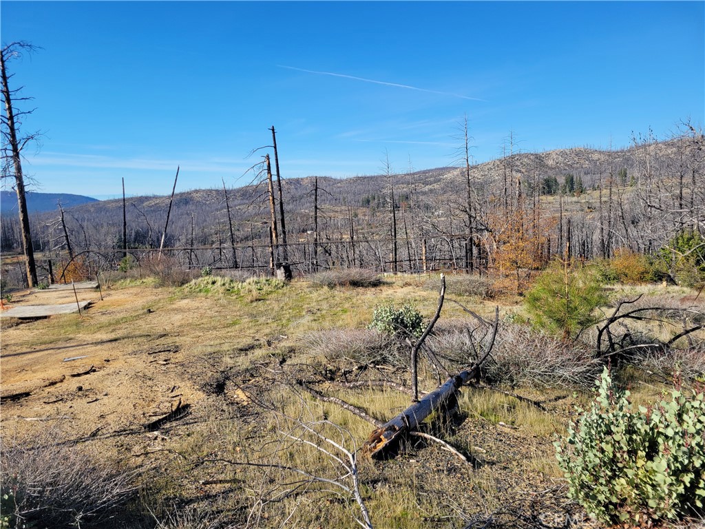 161 Shadow Creek Road Property Photo 18