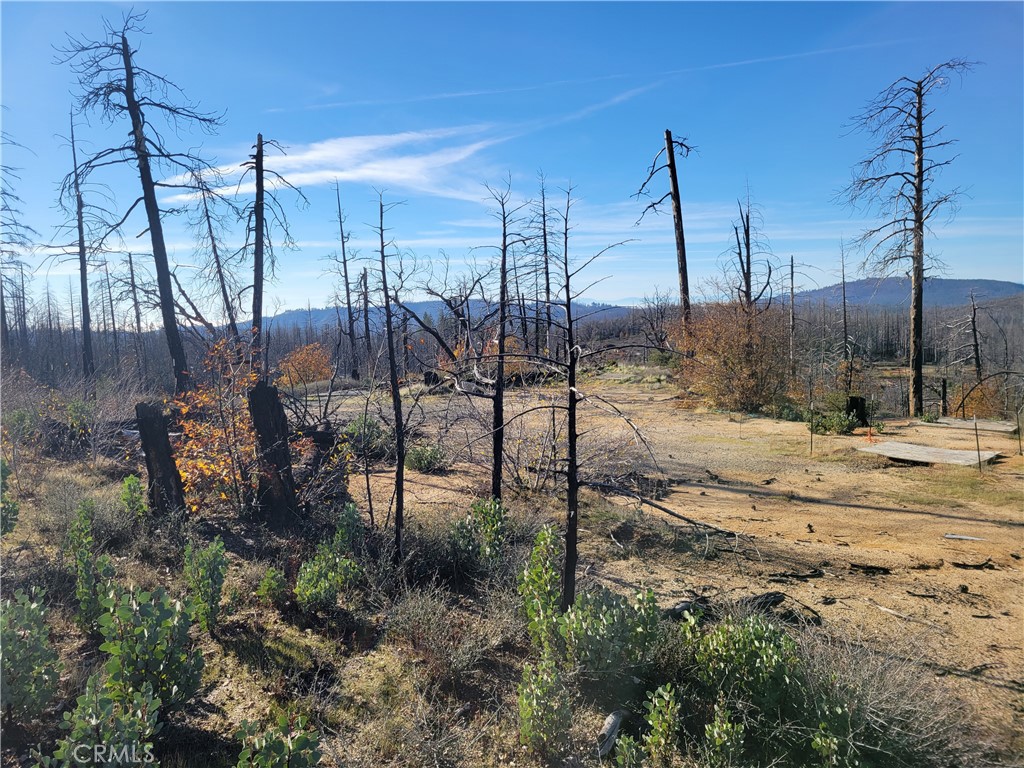 161 Shadow Creek Road Property Photo 19