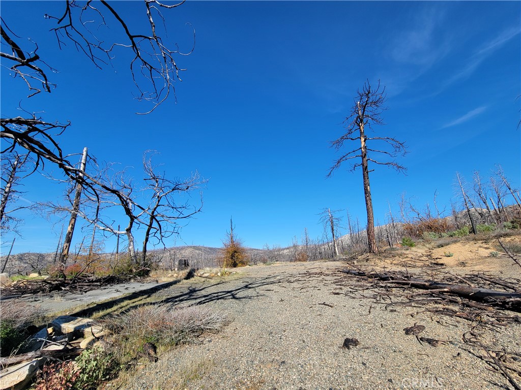 161 Shadow Creek Road Property Photo 20