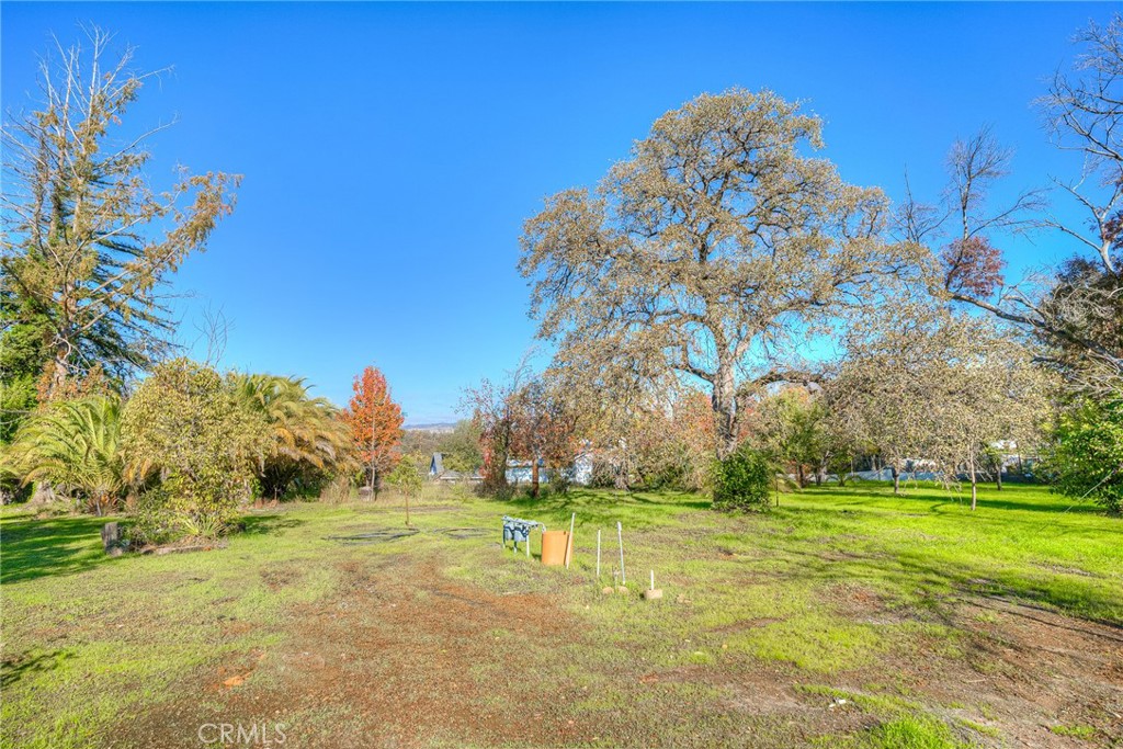 3570 Olive Highway Property Photo 9