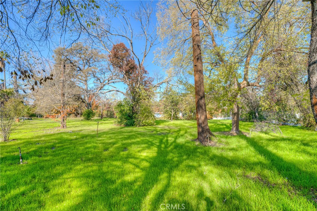3570 Olive Highway Property Photo 12