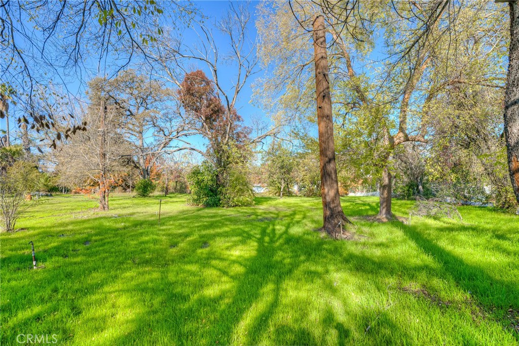 3570 Olive Highway Property Photo 34