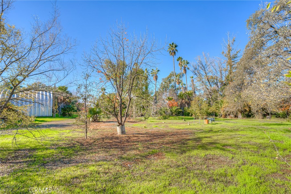 3570 Olive Highway Property Photo 35