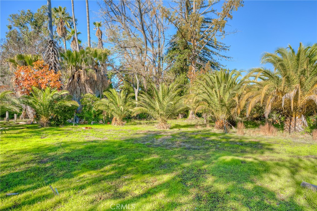 3570 Olive Highway Property Photo 36