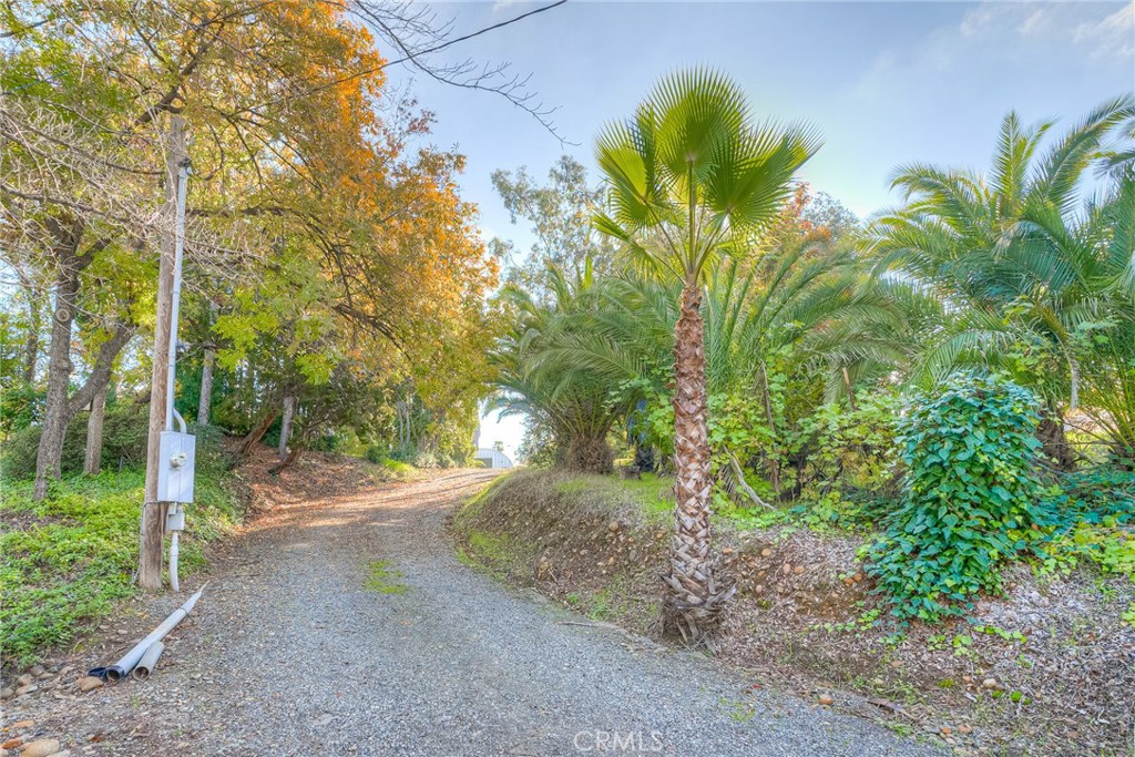 3570 Olive Highway Property Photo 44