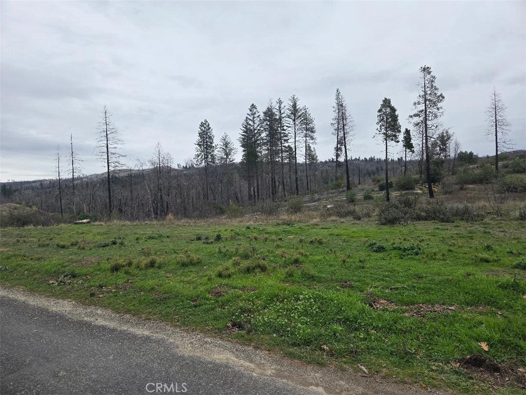 259 Rockerfeller Road Property Photo 1
