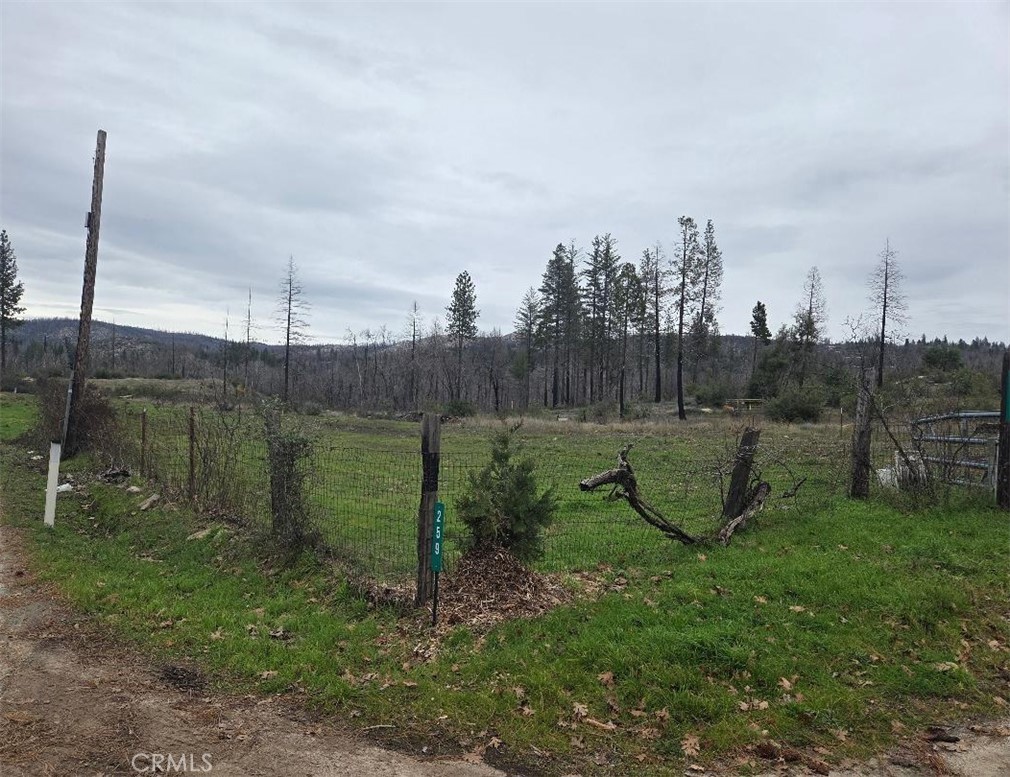 259 Rockerfeller Road Property Photo 5