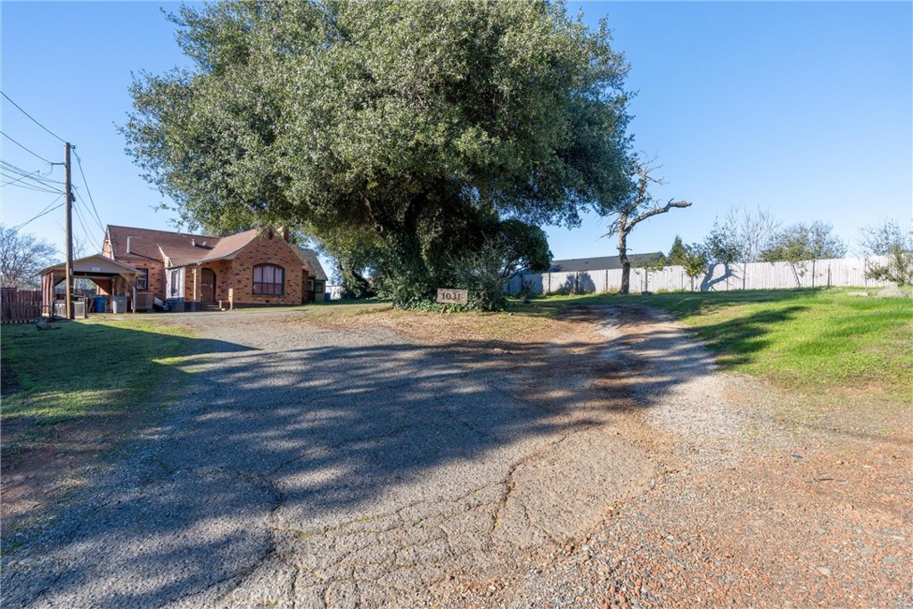 1013 Middlehoff Property Photo 5