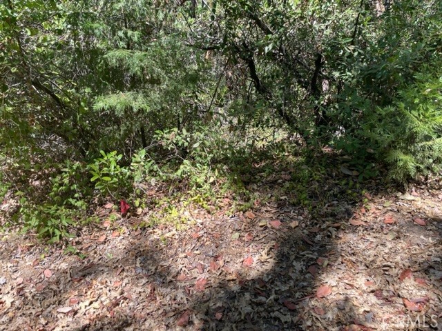 10 Broken Springs Property Photo 2
