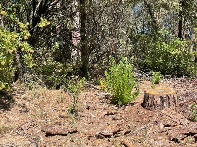 10 Broken Springs Property Photo 3