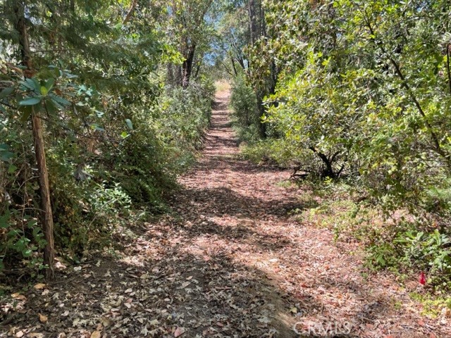 12 Broken Springs Property Photo 1