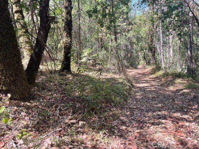12 Broken Springs Property Photo 2