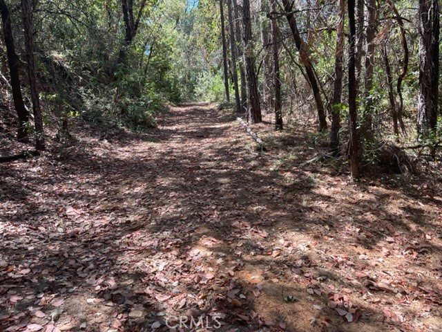 12 Broken Springs Property Photo 3