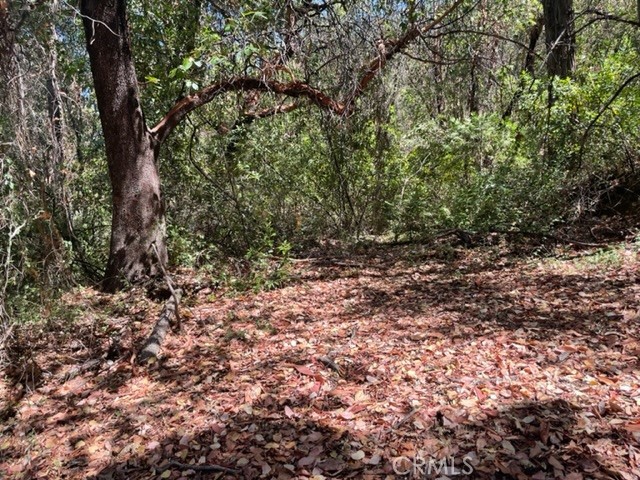 12 Broken Springs Property Photo 4
