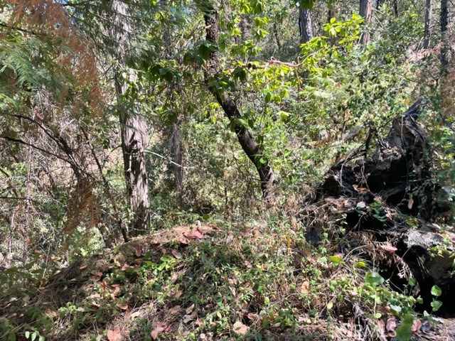12 Broken Springs Property Photo 5