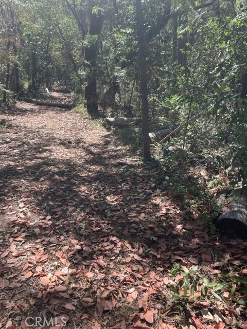 12 Broken Springs Property Photo 6