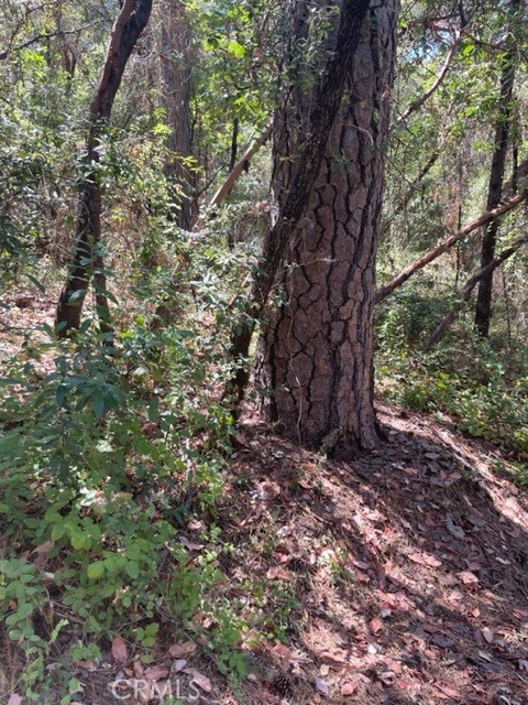 12 Broken Springs Property Photo 7