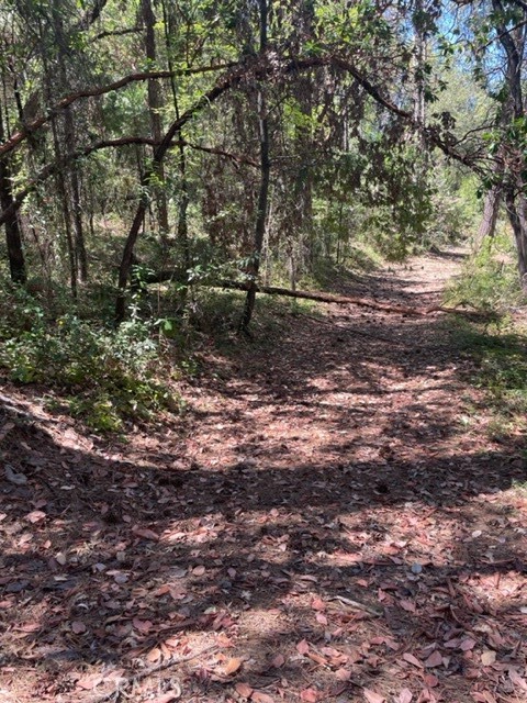 12 Broken Springs Property Photo 8