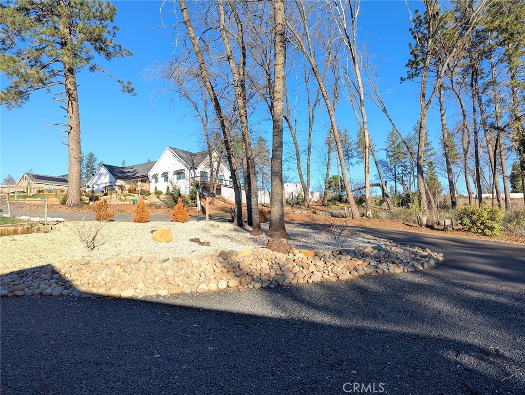 1658 Jaramillo Property Photo 4