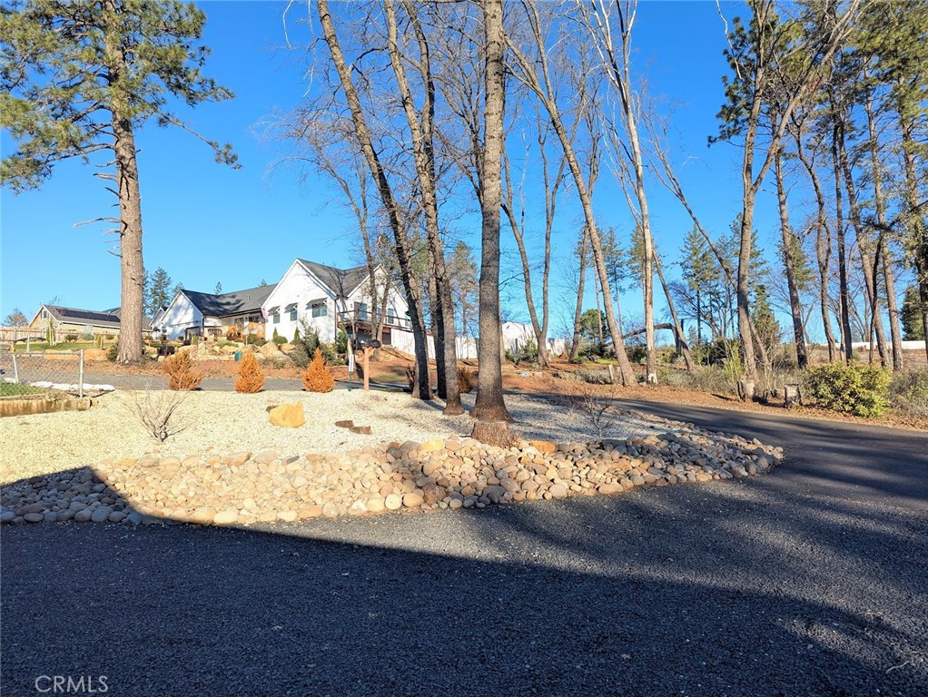 1658 Jaramillo Property Photo 4