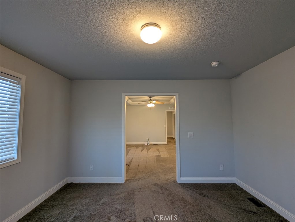 1658 Jaramillo Property Photo 17