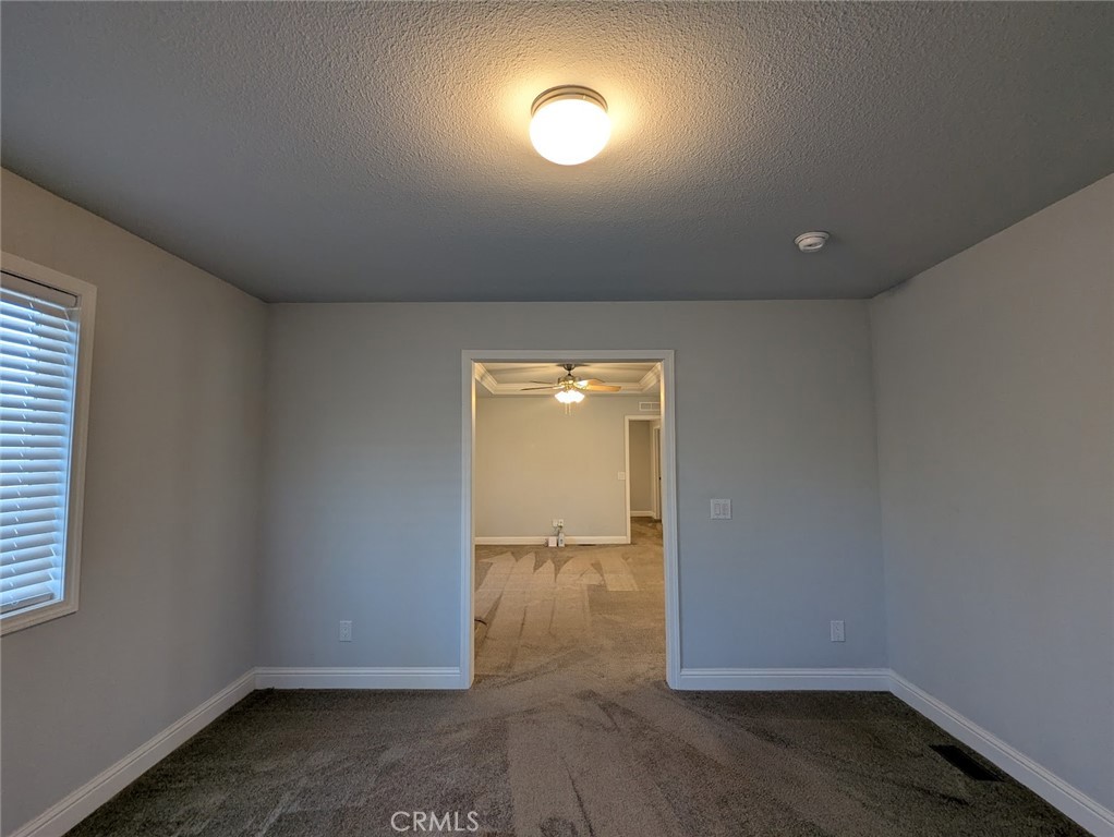 1658 Jaramillo Property Photo 17