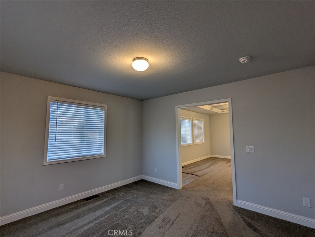 1658 Jaramillo Property Photo 18