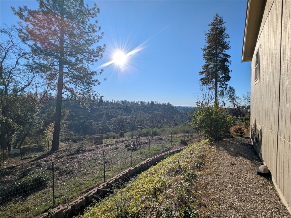 1658 Jaramillo Property Photo 38
