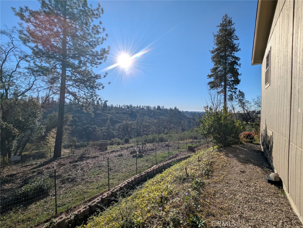1658 Jaramillo Property Photo 38