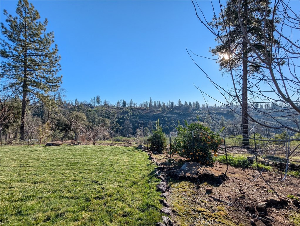 1658 Jaramillo Property Photo 43