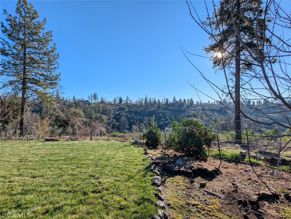 1658 Jaramillo Property Photo 43