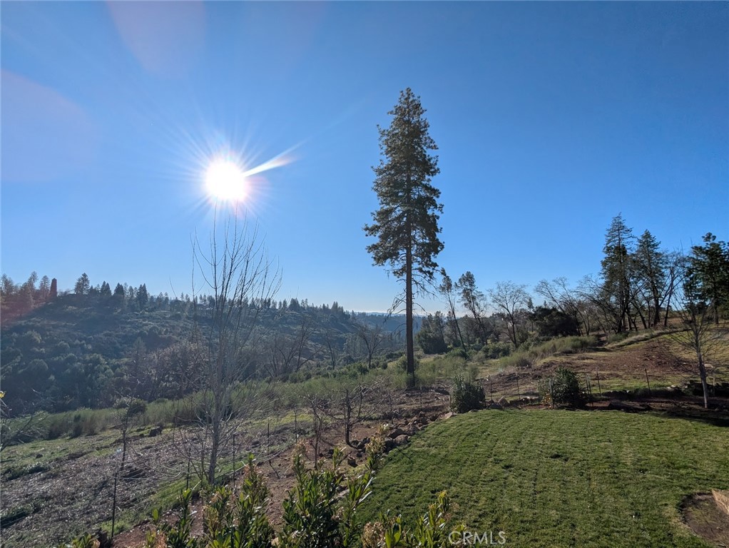 1658 Jaramillo Property Photo 45