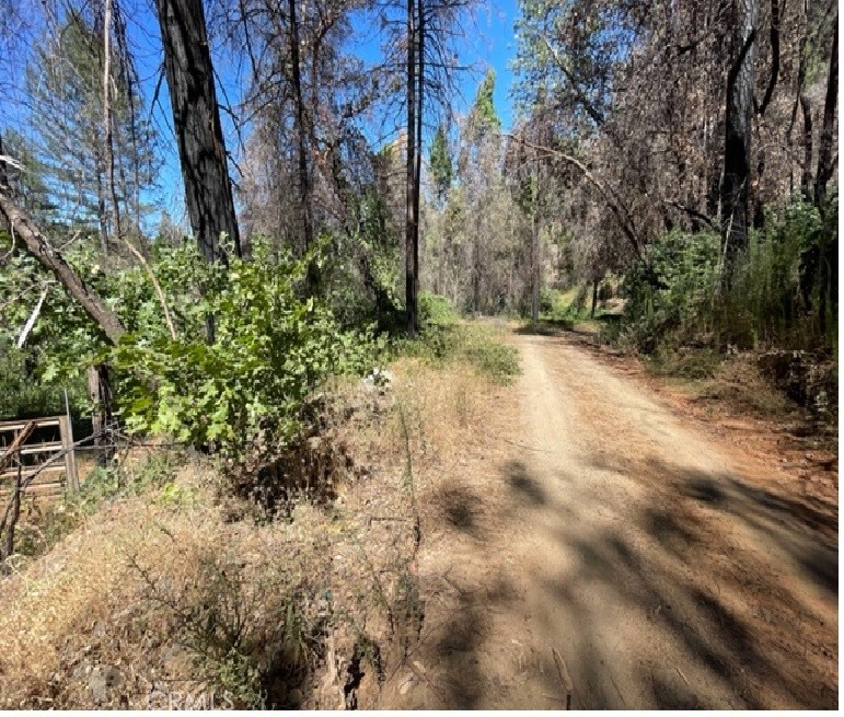 27 Broken Springs Property Photo 3