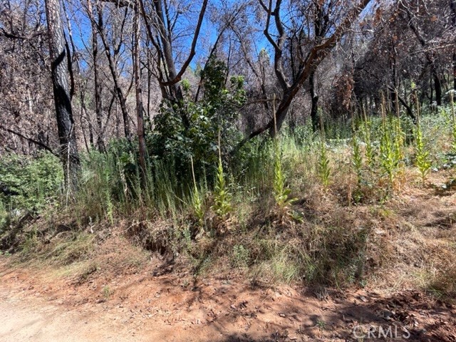 27 Broken Springs Property Photo 5