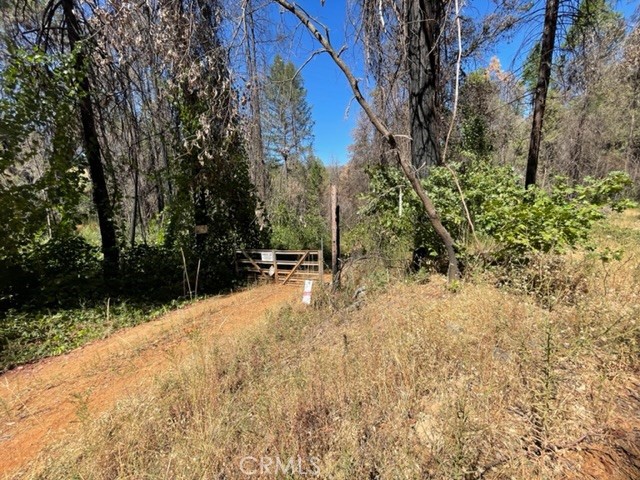 27 Broken Springs Property Photo 6
