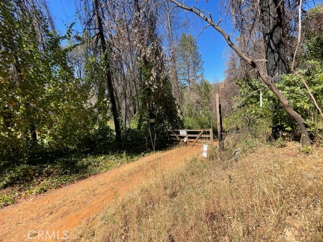27 Broken Springs Property Photo 7