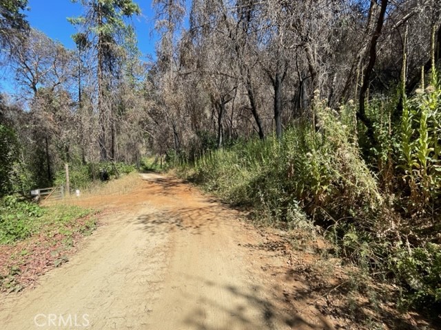 27 Broken Springs Property Photo 8