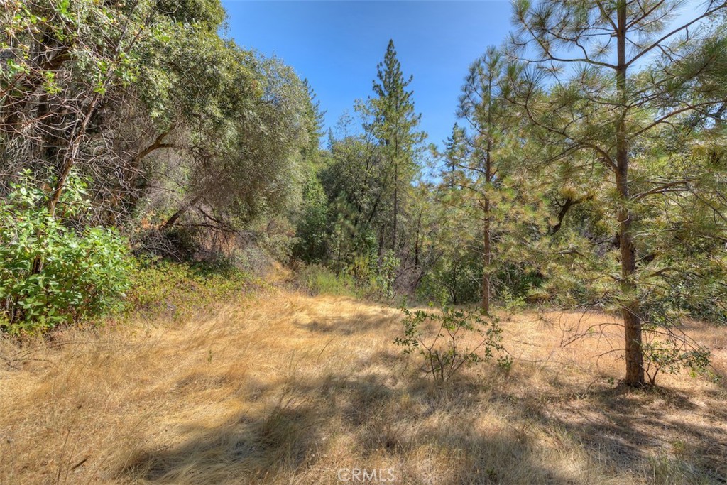 8700 Oro Quincy Property Photo 1