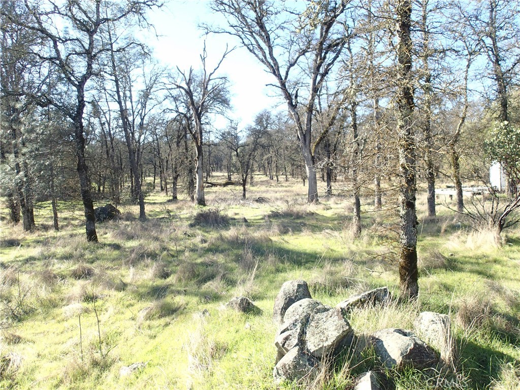 0 Stoney Oaks Property Photo 2