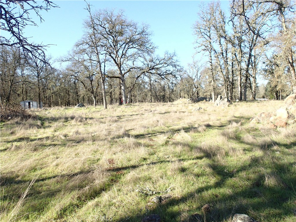 0 Stoney Oaks Property Photo 10