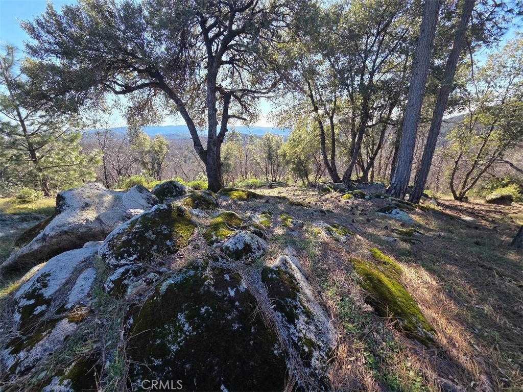 374 Jatko Property Photo 2