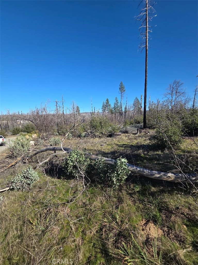 374 Jatko Property Photo 7
