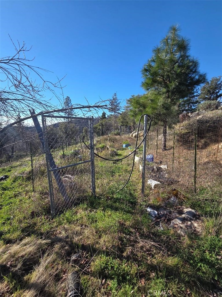 374 Jatko Property Photo 18