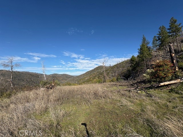 8870 Oro Quincy Property Photo 4