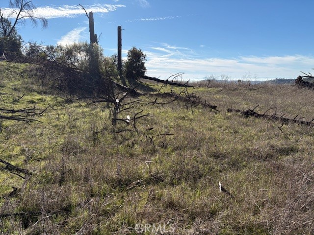 8870 Oro Quincy Property Photo 11