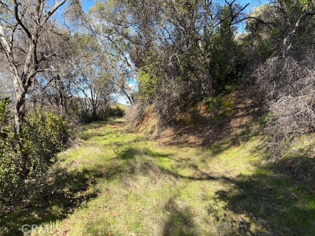 8870 Oro Quincy Property Photo 23